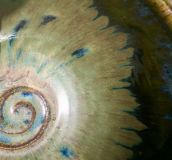 inside-glaze-on-bowl