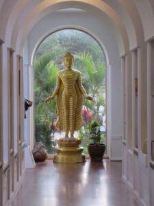 Read more about the article the stewardship of our self-offering